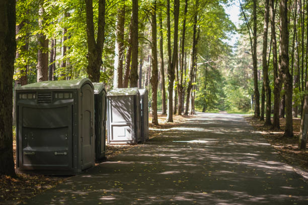 Best Luxury portable toilet rental  in North Auburn, CA
